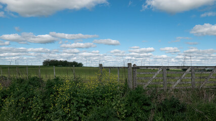 Fototapeta na wymiar Paisaje rural, portón de entrada al campo