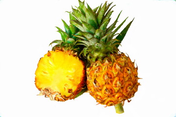 The pineapple (Ananas comosus) is a tropical plant with an edible fruit.  Plant in the family Bromeliaceae.
The photo shows a cut pineapple.
