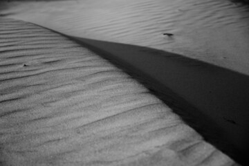 Abstract of wind-shaped patterns in sand dunes