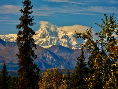 Denali From Alaska Train