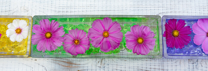 Floating cosmos flower heads in water bowl