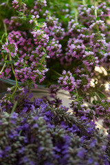 herbs, fresh herbs, Thyme cut flower, Lavender cut flower, pink, purple, green, healthy herbal, garden fun, herb garden, easy to grow, Mediterranean plants, eatable plants, two herbs in one photo