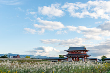 Suzaku-mon (Suzaku gate) at Nara palace site historical park