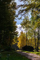 A small hiking trail with trees and autumn colors and a rock by the wayside near Wichsenstein, Franconian Switzerland, Germany
