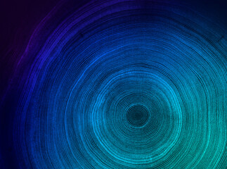 Bright tree ring pattern texture background. Tree rings from a cut tree trunk.