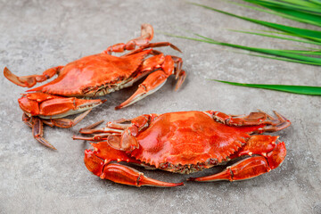 Two steamed crabs on a grey background.