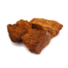 chaga mushroom isolated on white background