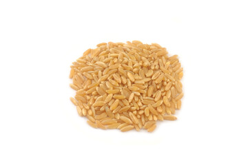 Khorasan Wheat isolated on white background