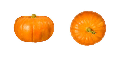 Two isolated orange pumpkins on a white background: top view and front view