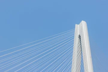 Foto op Aluminium modern cable-stayed bridge background © chungking