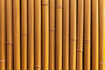 Brown old Bamboo fence texture and background seamless