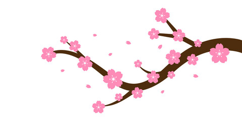Vector Cherry Blossom Sakura Branch on White Background
