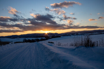 夕暮れの冬の道
