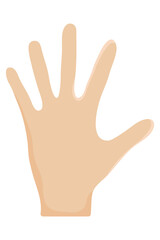 human hand palm