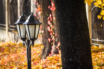 Selective focus photo. Retro style lanterns in park.