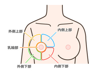 胸の病気の区分けイラスト