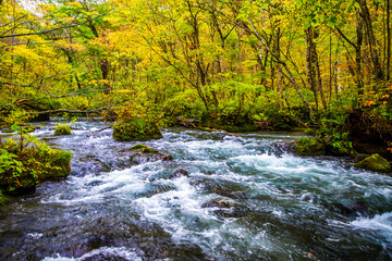 青森県　秋の奥入瀬渓流・三乱の流れ