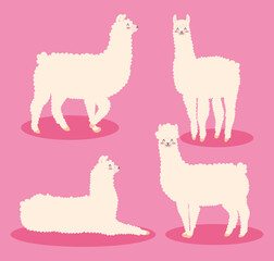 cute alpacas icon set