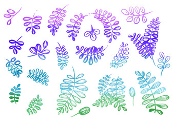 Watercolor artistic multicolor Set of floral elements in the style of line art wedding theme on a white background. Doodle and scribble. Blue, turquoise, violet, green and purple leafs for postcard