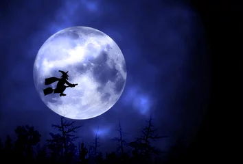 Papier Peint photo Lavable Pleine Lune arbre Silhouette of witch woman on the background of the blue moon. Halloween concept. Selective focus