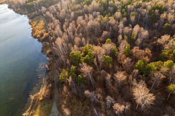 Colorful autumn forest with trees on the shore of a blue lake - top aerial view.