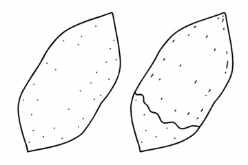 Roasted sweet potato. Vector line art illustrations set.