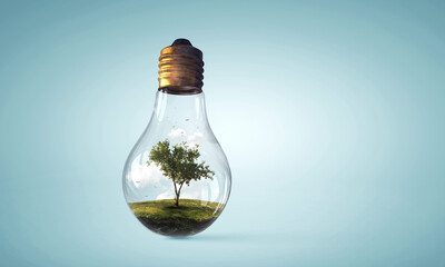 Tree growing inside light bulb