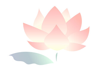 Fototapeta premium 一本の蓮の花と葉のイラスト 