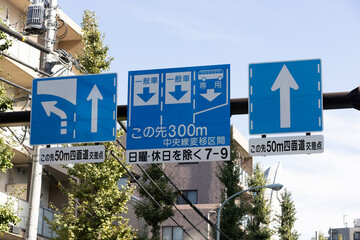 Obraz premium 規制標識 進行方向別通行区分別