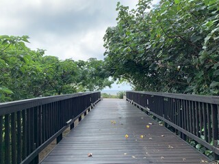 Fototapeta na wymiar Sea Side Beach Bridge with trees and flowers