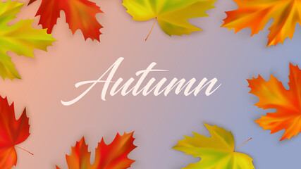 Autumn composition of realistic color fall maple leaves. Vector illustration