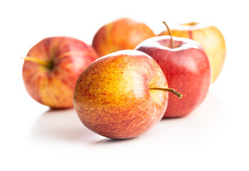 Fresh autumn apples