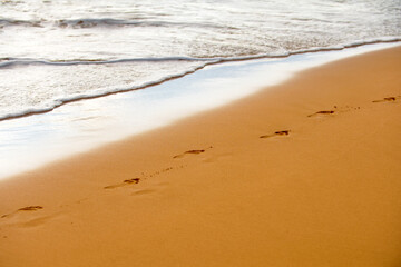 Footprints on the beach. Summer vacation background.