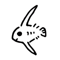 魚の稚魚たち8