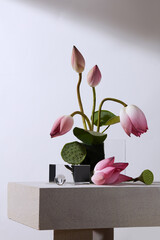 Front view of flower arrangement pink and green lotus in white background and transparent podium...