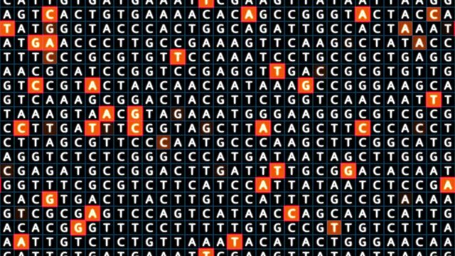 Loopable: Genetic mapping DNA sequence analysis abstract background with letters A,G,C,T in sliding grid with orange squares. Big genomic data analysis concept.