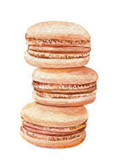 Macaroon watercolor drawing, illustration of hand painted sweet