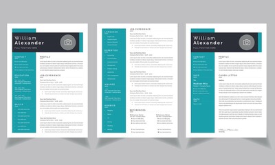Professional cv template Two-page Resume
