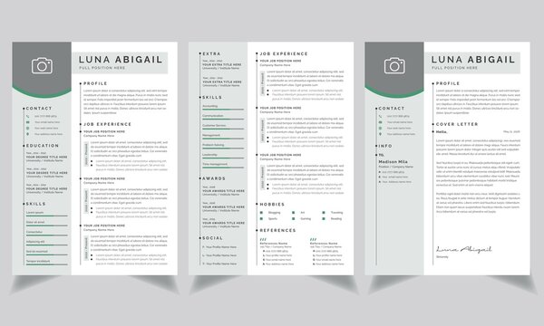 Professional Curriculum Vitae template Two-page Resume