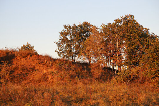 Sonnendurchflutete Herbstfarbem am Rodderberg in Wachtberg Niederbachem