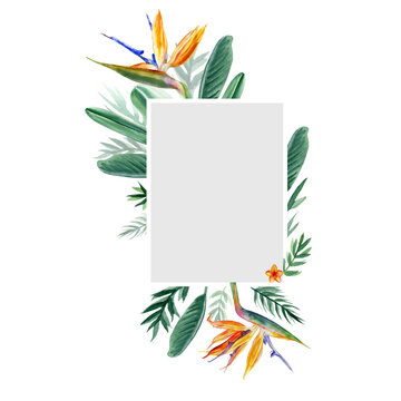 Decorative rectangular frame Bird of paradise flower, watercolor Strelitzia reginae, crane flower hand drawn botanical illustration isolated on white backdrop, exotic tropical plant branch Strelicia