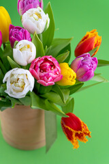 Mix of spring tulips flowers. Bouquet in a vase. Multi-colored spring flower. Gift. Red, pink, white and yellow. Background with flowers tulips close-up different colors