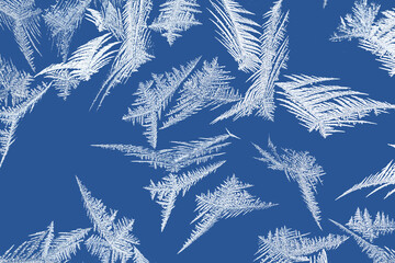 Beautiful frost patterns in the ice feather shape on frozen window as a symbol of Christmas wonder. Blue background.