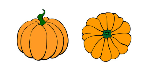 Set of vector color pumpkin in flat style, isolated. Symbol Halloween, autumn, crop, thanksgiving day, fruitful year