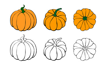 Set of Pumpkin icon isolated on white background. Outline doodle and color. Symbol autumn, crop, fruitful year. Hand drawn vector EPS10 illustration