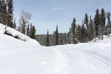 Snow trail to the mountain , Altai Republic, Russia