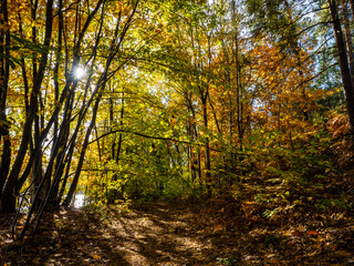 Obraz premium Herbst