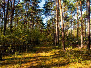 Obraz premium Herbst