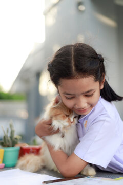 Portrait of a Little Asian girl is hugging her Persian cat with happiness, select focus shallow depth of field