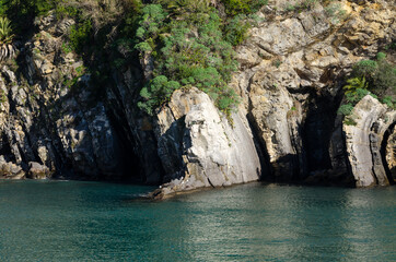 Fototapeta premium green sea in Camogli in Genoa in Liguria
